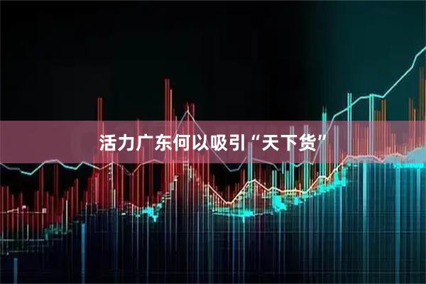 活力广东何以吸引“天下货”